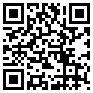 CHAT GPT国内版