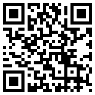 应用伪装appvariable