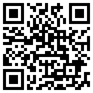 奴隶进化史