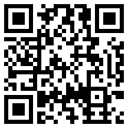 net framework 4.0内置VIP