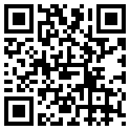 net framework 4.0约会版