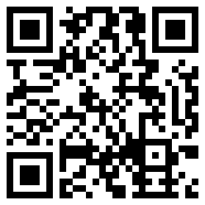 net framework 4.0汉化版