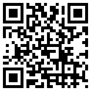 XBROWSER小说版