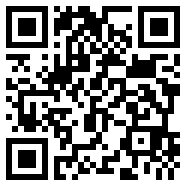 net framework 4.0中文字幕