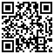 美化包apk