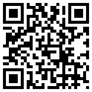 divirtual汉化安卓版