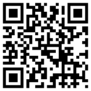 internetdownloadmanager黄化版