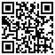 MIUI完美图标app