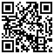 codeformer中文