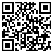 主题app
