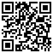 国际任务
