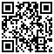 net framework 4.0绿色版