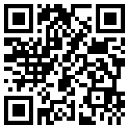 net framework 4.0无限体