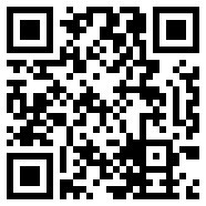 net framework 4.0游戏插件