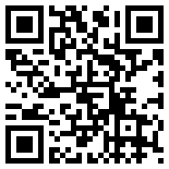 XNView(XNVISION)